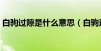 白駒過隙是什么意思(白駒過隙是什么意思)