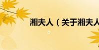 湘夫人(關于湘夫人的介紹)