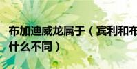 布加迪威龍屬于(賓利和布加迪威龍的標志有什么不同)