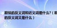 膽怯的反義詞和近義詞是什么?(膽怯的近義詞是什么膽怯的反義詞又是什么)