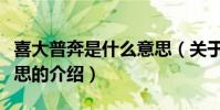 喜大普奔是什么意思(關于喜大普奔是什么意思的介紹)