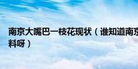 南京大嘴巴一枝花現狀(誰知道南京大嘴巴一枝花的個人資料呀)