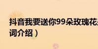 抖音我要送你99朵玫瑰花是什么歌(完整歌詞介紹)