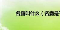 名露叫什么(名露是干什么的)