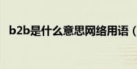 b2b是什么意思網絡用語(B2B是什么啊)