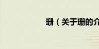 珊(關于珊的介紹)