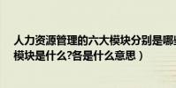 人力資源管理的六大模塊分別是哪些?(人力資源管理六大模塊是什么?各是什么意思)