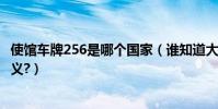 使館車牌256是哪個國家(誰知道大使館車牌的6位數字的含義?)