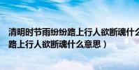 清明時節雨紛紛路上行人欲斷魂什么意思(清明時節雨紛紛路上行人欲斷魂什么意思)