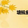 塘鲺魚（關于塘鲺魚的介紹）
