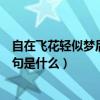 自在飛花輕似夢后面一句詩是什么（自在飛花輕似夢后面一句是什么）