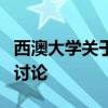 西澳大學關于國內外能源政策的全球能源市場討論