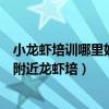 小龍蝦培訓哪里好（我想開個龍蝦店盱眙龍蝦聽說很有名但附近龍蝦培）