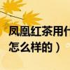 鳳凰紅茶用什么器具泡（鳳凰紅茶正確泡法是怎么樣的）