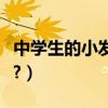 中學生的小發明作品（中學生的小發明小制作?）