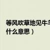 等風吹草地見牛羊的見是什么意思（風吹草地見牛羊的見是什么意思）