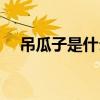 吊瓜子是什么的籽（吊瓜子是什么東西）