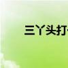 三丫頭打一字（三丫頭（打一字））
