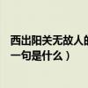 西出陽關無故人的前一句詩句是什么（西出陽關無故人的前一句是什么）