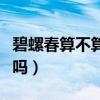 碧螺春算不算綠茶（洞庭碧螺春到底屬于綠茶嗎）