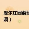 摩爾莊園蘑菇從哪弄（摩爾莊園里如何去蘑菇洞）