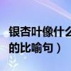 銀杏葉像什么的比喻句最新版（銀杏葉像什么的比喻句）