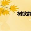 樹欲靜而風不止（是啥意思?）