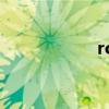 ro（關于ro的介紹）
