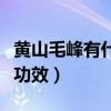 黃山毛峰有什么功效與作用（黃山毛峰有什么功效）