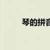 琴的拼音（關于琴的拼音的介紹）