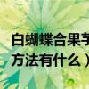 白蝴蝶合果芋形態特征（白蝴蝶合果芋的養殖方法有什么）