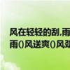 風在輕輕的刮,雨在細細的下（填空()風細雨()風拂面()風驟雨()風送爽()風勁吹()風凜冽()風徐來）