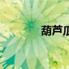 葫蘆瓜（關于葫蘆瓜的介紹）
