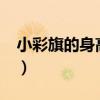 小彩旗的身高（小彩旗是誰?小彩旗真實身高）