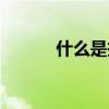 什么是投名狀（什么是投名狀）