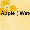Apple（Watch無法連接Apple Pay怎么辦）