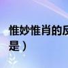 惟妙惟肖的反義詞有哪些（惟妙惟肖的反義詞是）