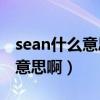 sean什么意思中文（Sean是什么意思是什么意思啊）