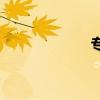 專屬的幸福（歌詞）
