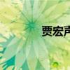 賈宏聲（關于賈宏聲的介紹）