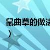 鼠曲草的做法與吃法（鼠曲草的吃法有哪些呢）