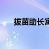拔苗助長寓意（拔苗助長寓意是什么）