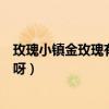 玫瑰小鎮金玫瑰有什么用（玫瑰小鎮羽衣金色陽光是什么花呀）