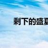 剩下的盛夏（關于剩下的盛夏的介紹）