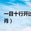 一目十行開過什么生肖（一目十行出過什么生肖）