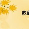 蘇童（關于蘇童的介紹）