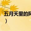 五月天里的阿信全名（五月天阿信全部的綽號）