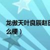 龍傲天葉良辰趙日天還有誰（葉良辰趙日天龍傲天是誰是什么梗）
