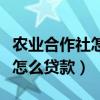 農業合作社怎么申報企業所得稅（農業合作社怎么貸款）