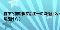 自在飛花輕似夢后面一句詩是什么(自在飛花輕似夢后面一句是什么)